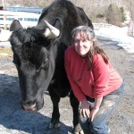 anne_ shrieder bullwinkle