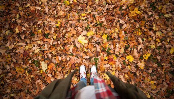 Canva - Person Standing on a Ground With Dry Leaves