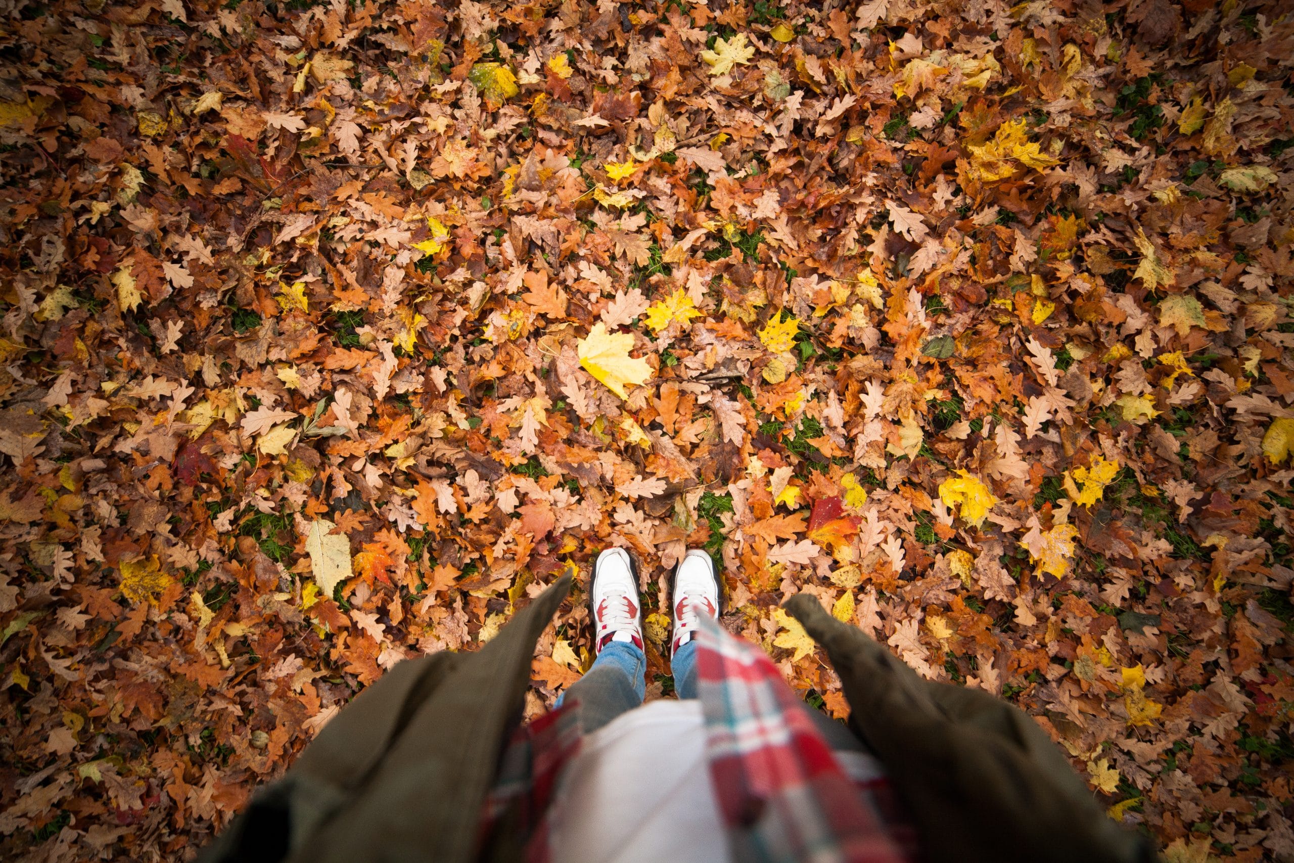 Canva - Person Standing on a Ground With Dry Leaves