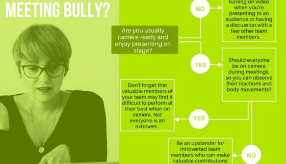 Seacat Video Bully Decision Tree 8-20