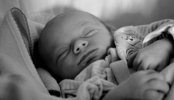 baby