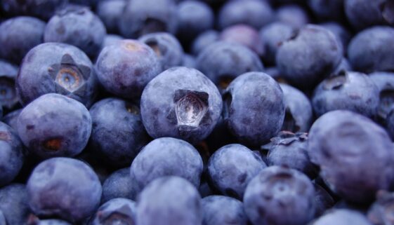 blueberries