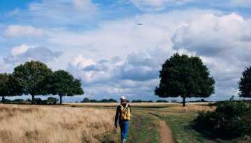 journey walk