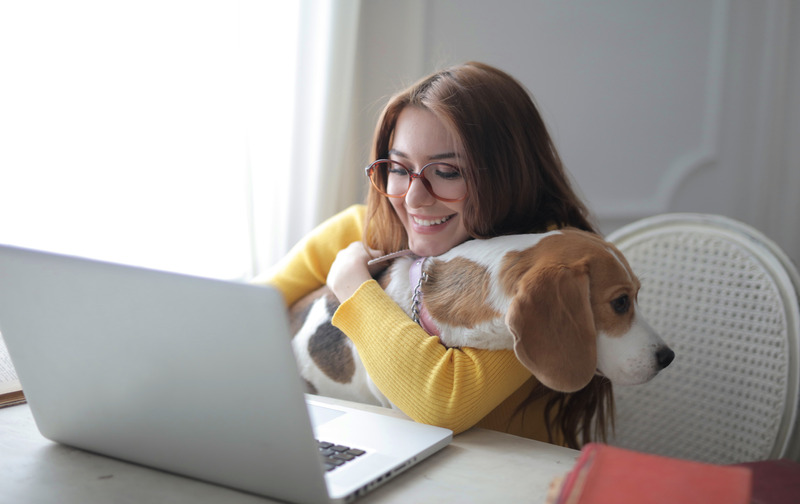 woman with dogCanva - Woman In Yellow Sweater Holding Brown And White Short Coated Dog-2